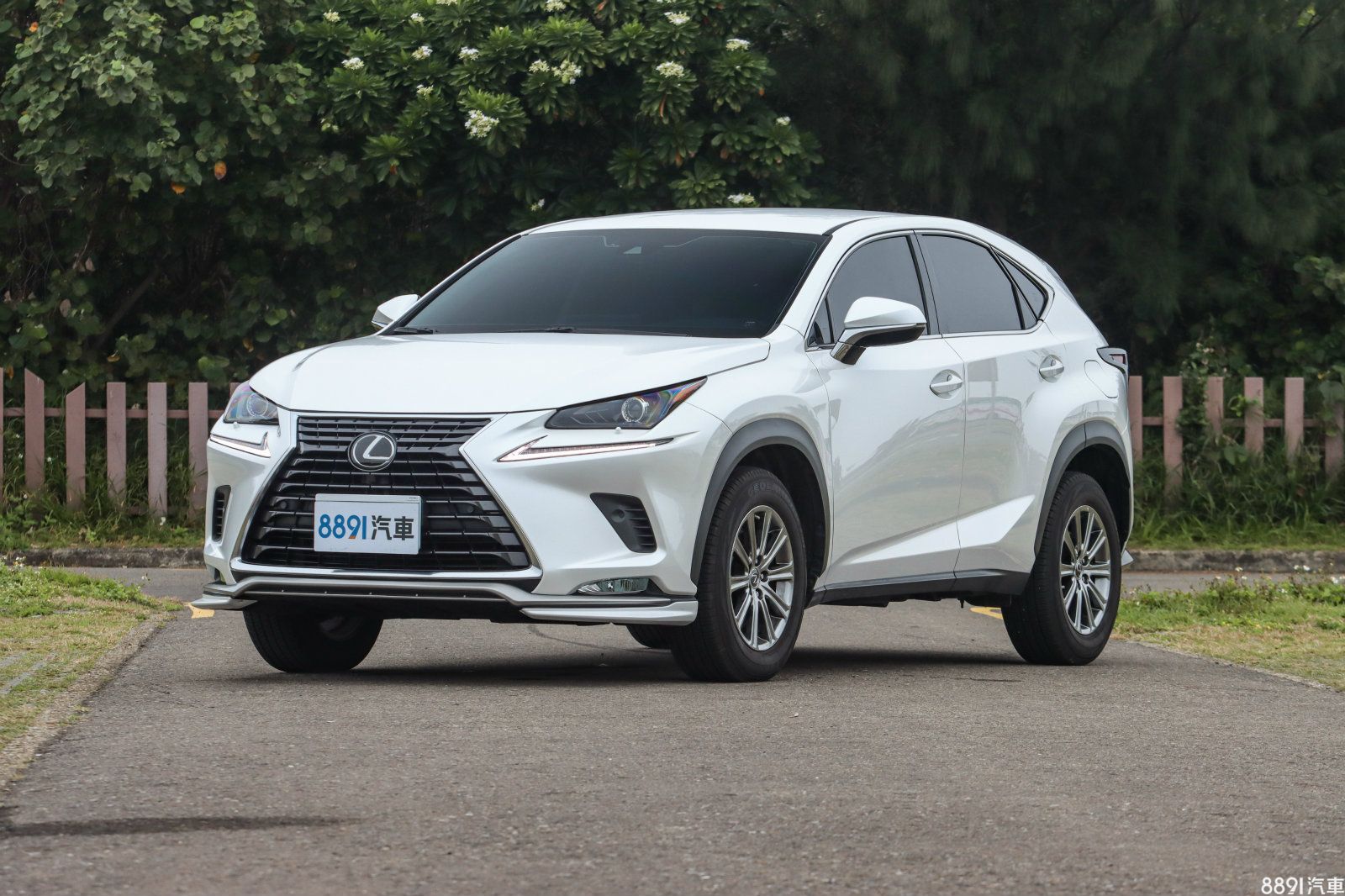 Lexus 凌志nx 汽車圖片 81新車