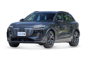 Q6 e-tron