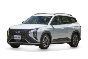 Hyundai Mufasa