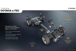 輕油電上身！Skoda Octavia追加e-Tec新動力 11236