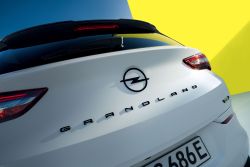 Opel Grandland才將要登台 原廠就預告明年改款 16594