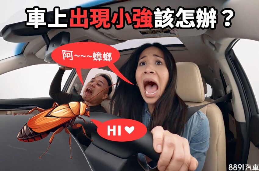 [問卦] 請問車子裡有蟑螂要怎麼解決=.=