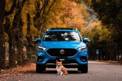 MG史上最強購車方案7月續航！HS、ZS現金折價加碼乙式車體險、免費定保 20363